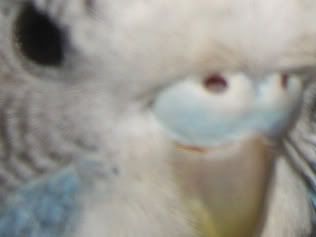 resize3.jpg