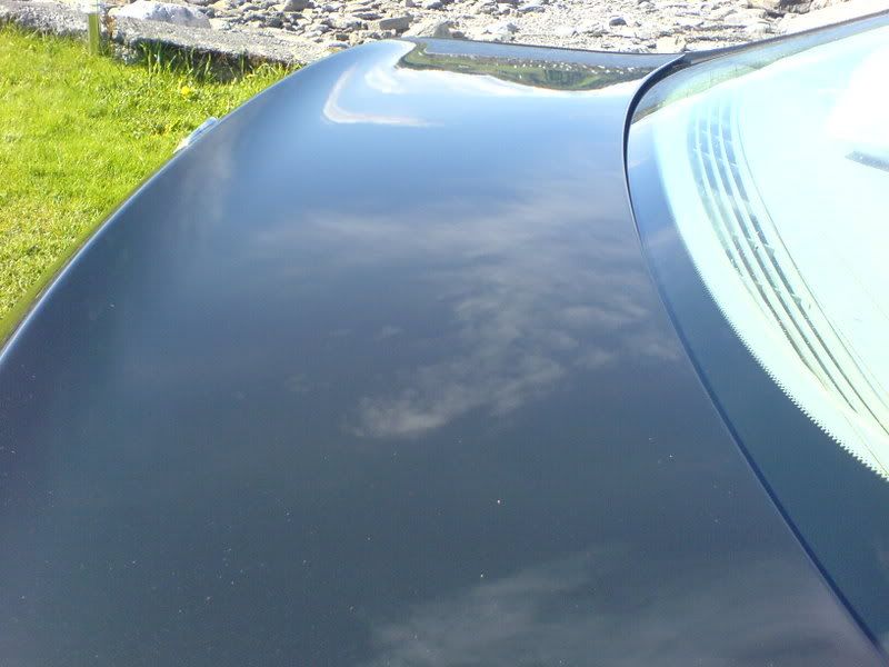 DSC00883.jpg