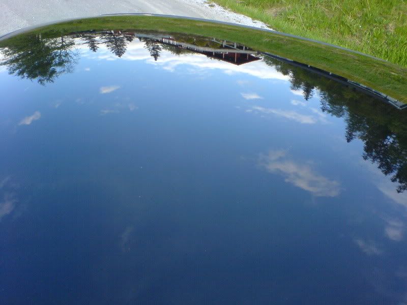 DSC00916.jpg