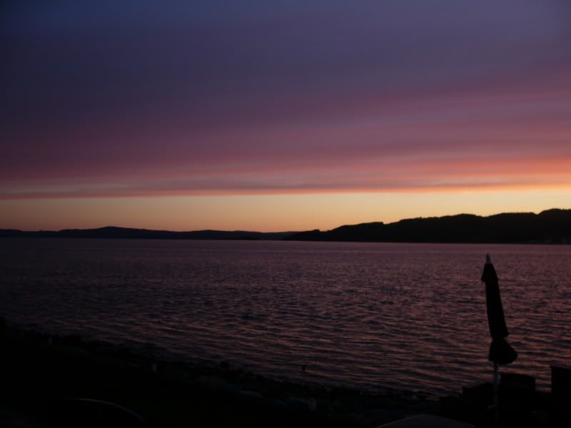 P1010767.jpg