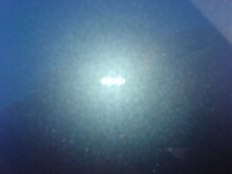 DSC00709.jpg