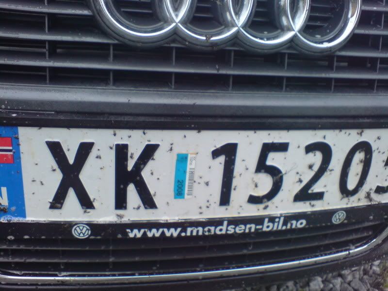 DSC00206.jpg