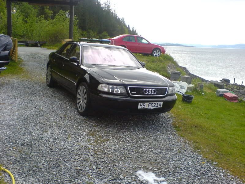 DSC00962.jpg