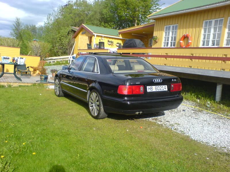 DSC00982.jpg