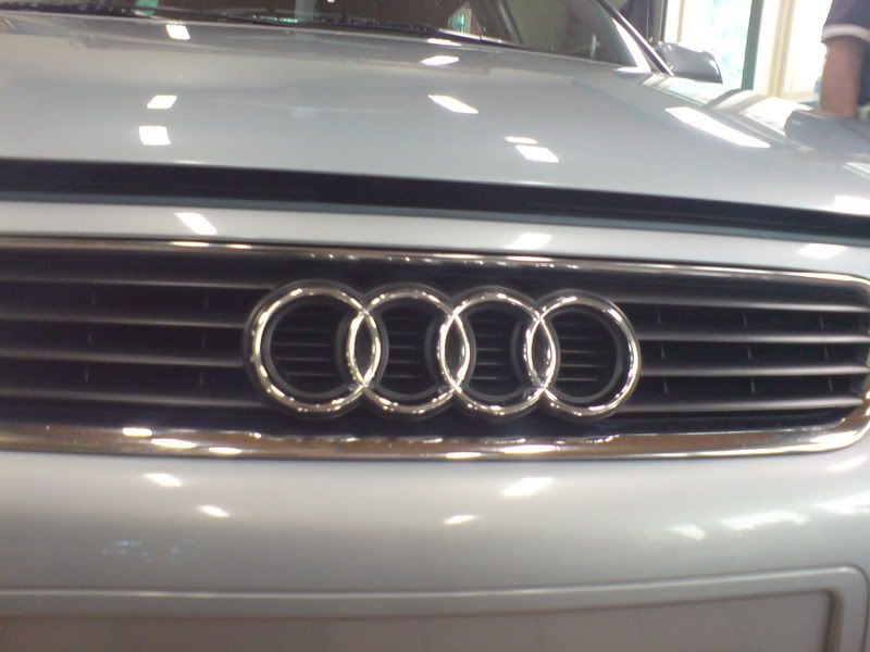 DSC00228_1.jpg