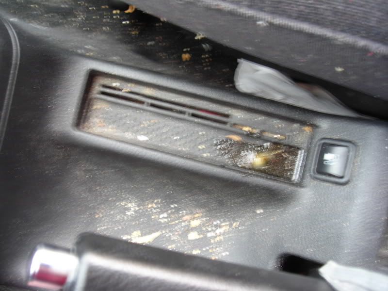 DSCN0317.jpg