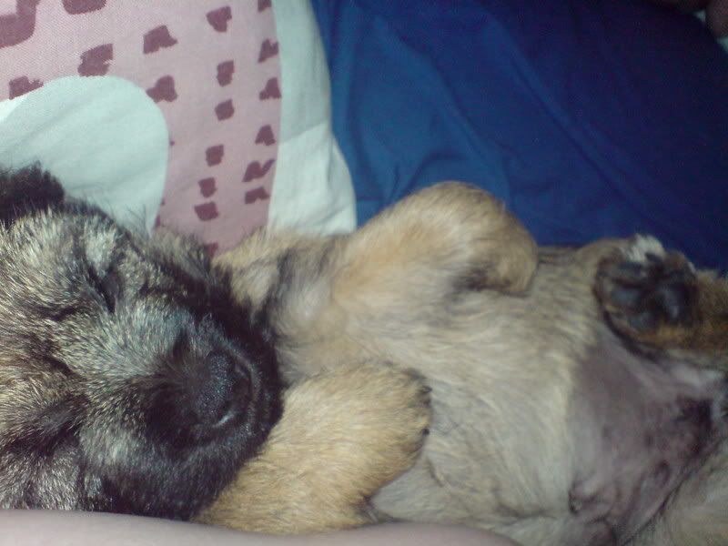 DSC00816_1.jpg
