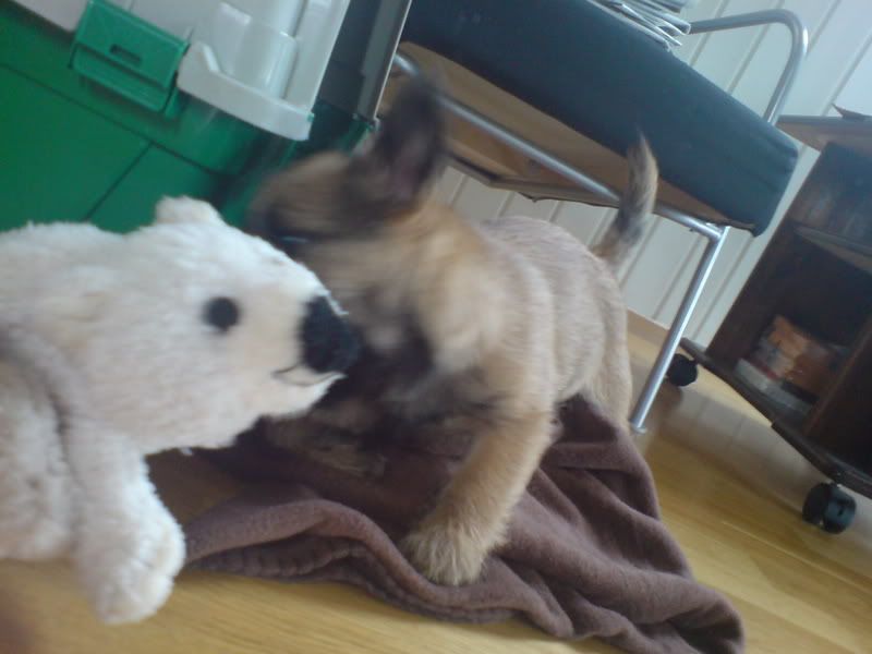 DSC00823_1.jpg