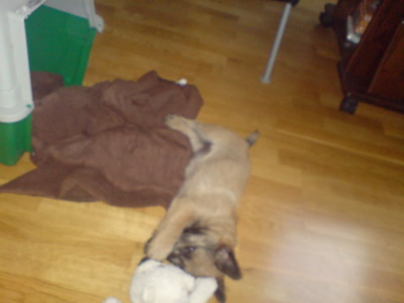DSC00831.jpg