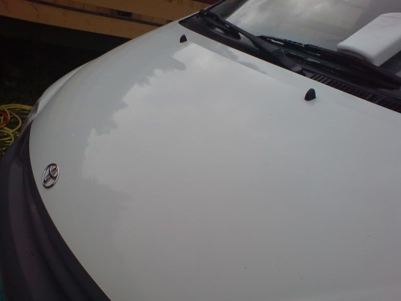 DSC01012_1.jpg