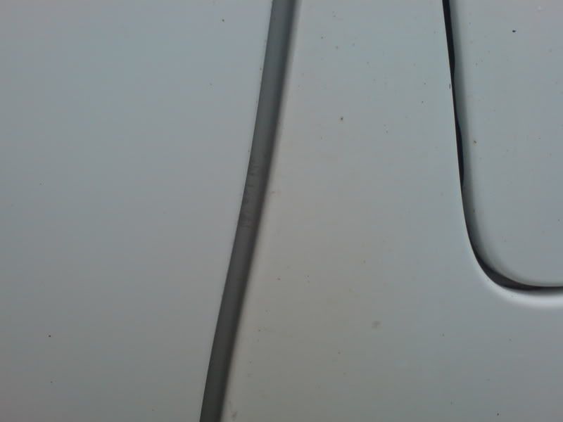 DSC01015_1.jpg