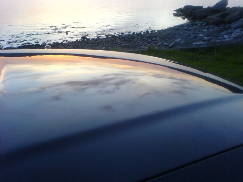DSC01097.jpg