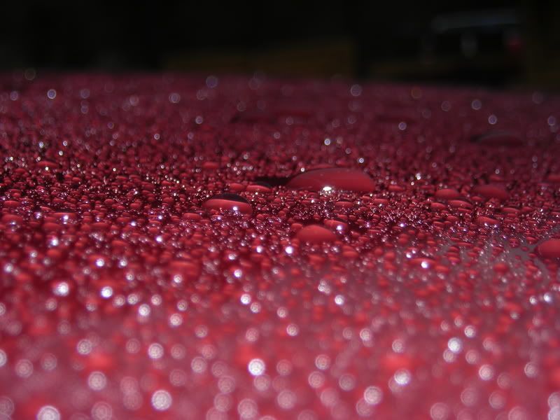 DSCN0277.jpg