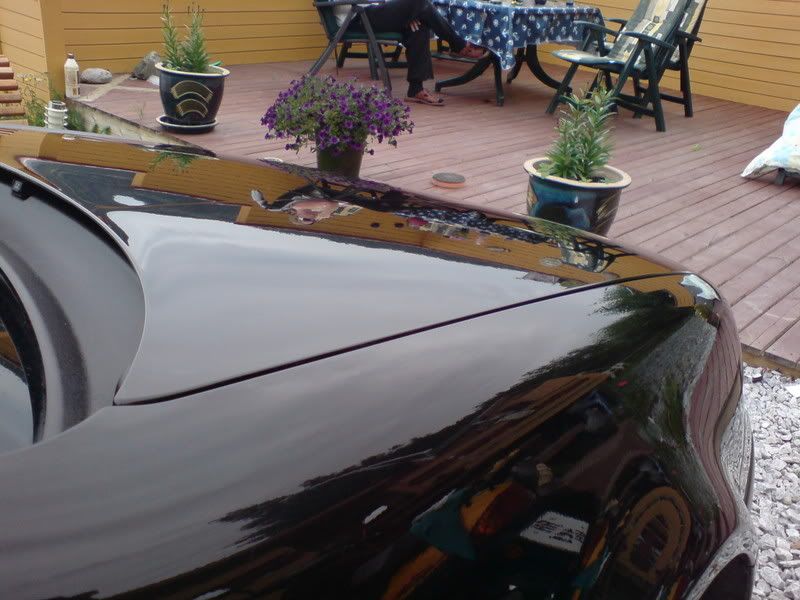 DSC00526.jpg