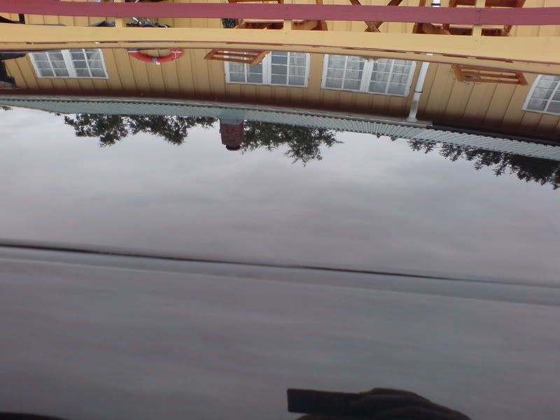 DSC00527.jpg