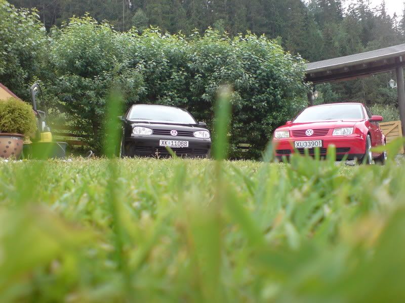 DSC00554.jpg