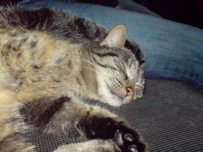 DSC00488.jpg
