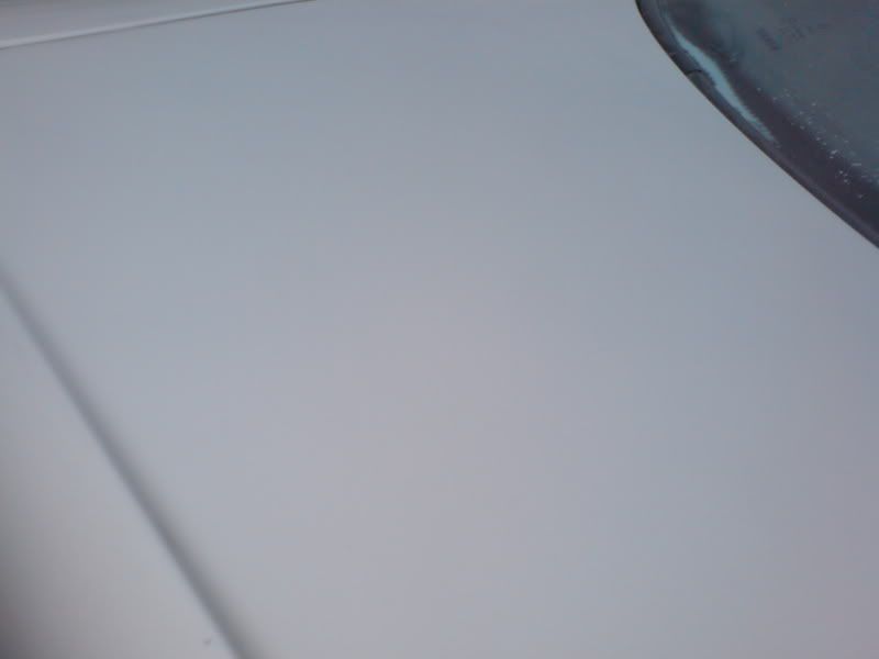 DSC00413.jpg
