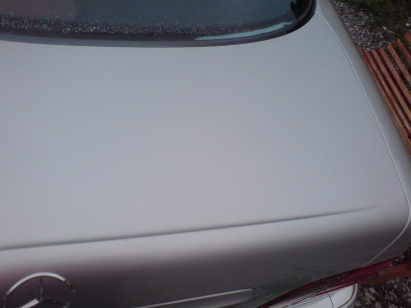 DSC00414.jpg