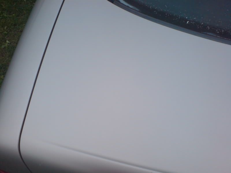DSC00415.jpg