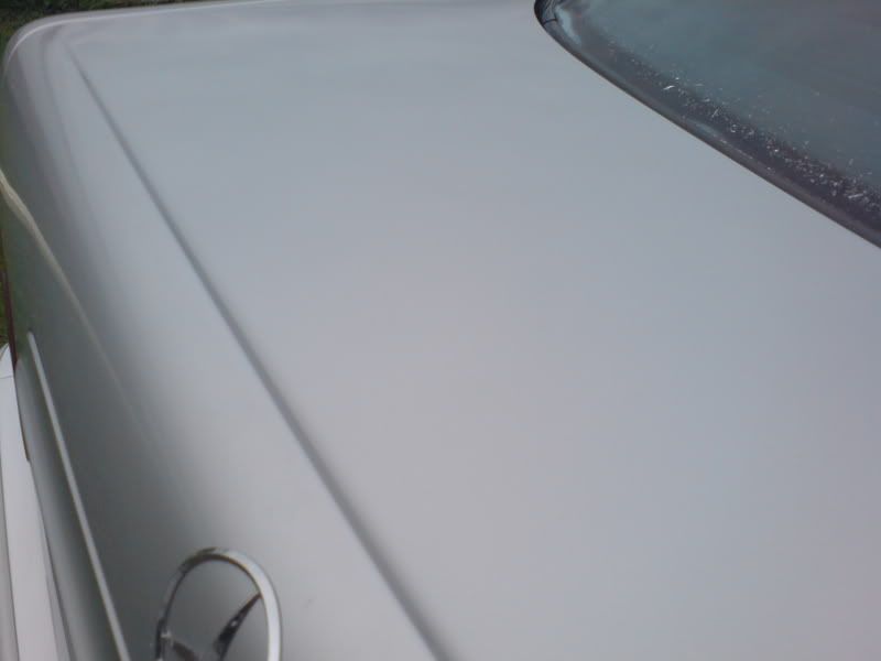 DSC00416.jpg