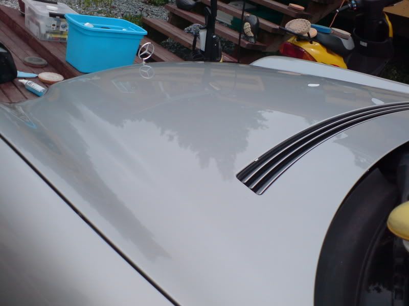 DSC00428.jpg