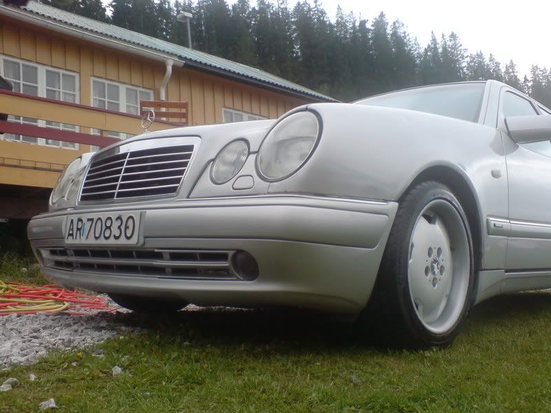 DSC00441.jpg