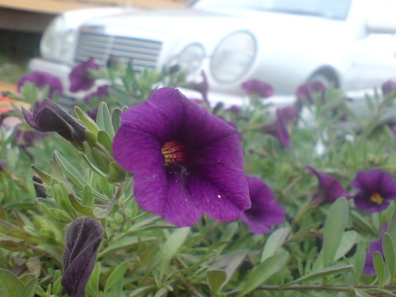 DSC00444.jpg