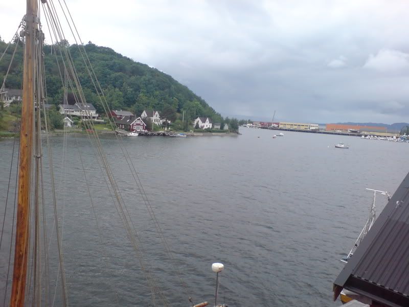 DSC00230.jpg