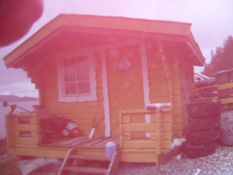 P1010676.jpg