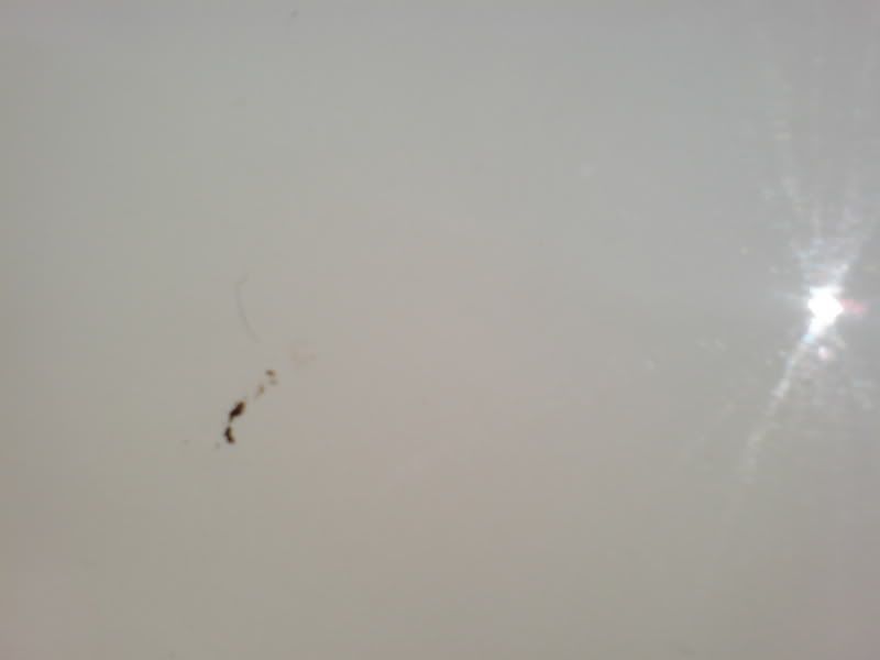 DSC00723.jpg