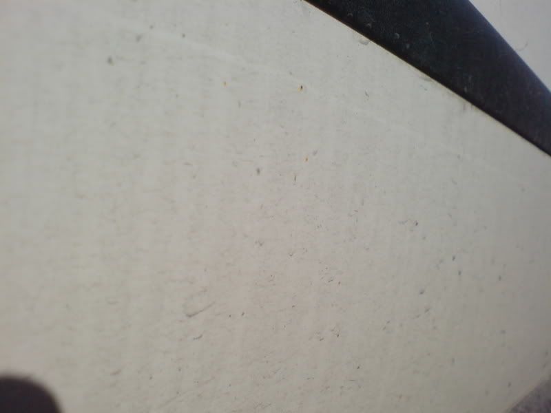 DSC00724.jpg