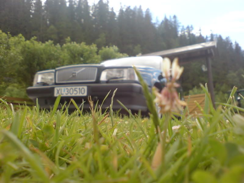 DSC00080.jpg