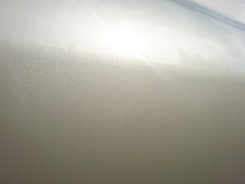 DSC00100_1.jpg
