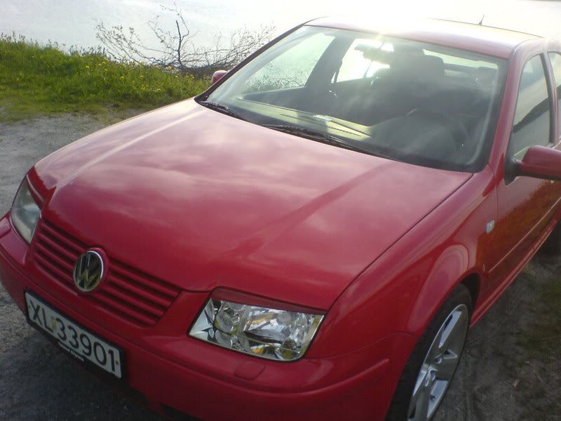 DSC01011.jpg