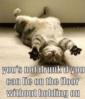 9_funny_drunk_cat.jpg