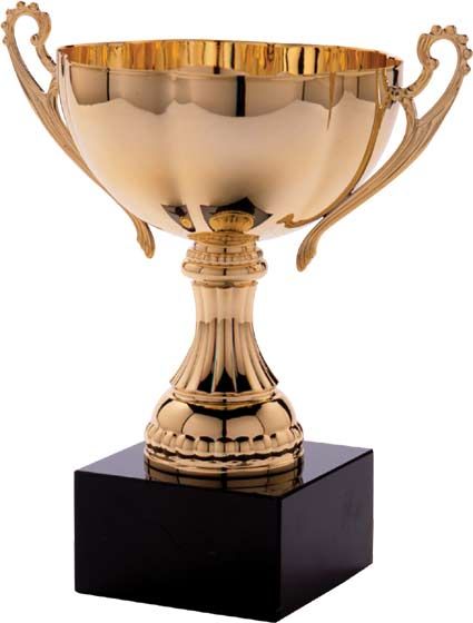 award-trophies-trophy2-788652.jpg