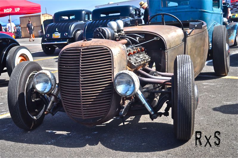 Hot Rods ****The AntiHybrid Collection**** The H.A.M.B.