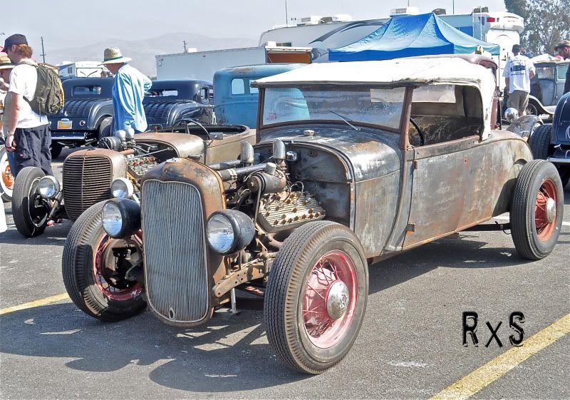 Hot Rods ****The AntiHybrid Collection**** The H.A.M.B.