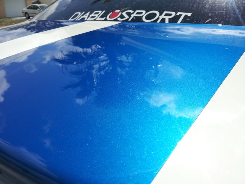 20120228_120542.jpg