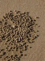 sand pattern 1
