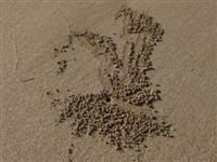 sand pattern 2