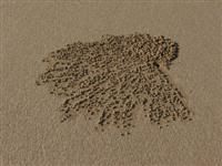 sand pattern 3