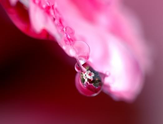 DSC_5701-1.jpg
