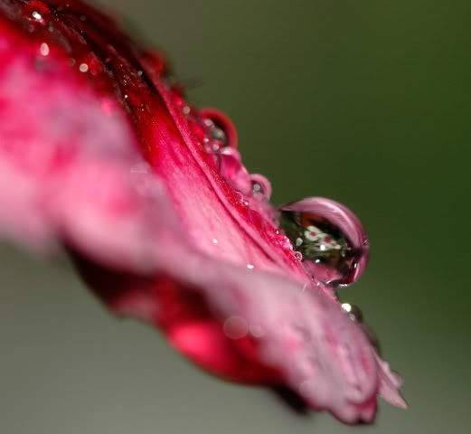 DSC_5729-1.jpg
