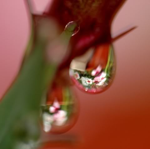 DSC_5770-1.jpg