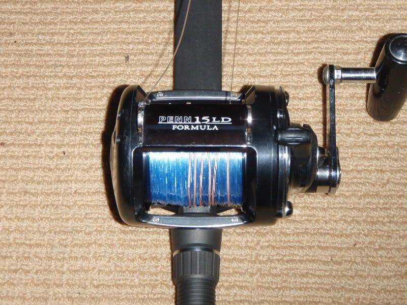 Penn 15Kg