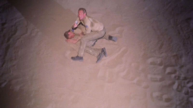 desertcrossing4.jpg