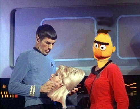 bertandspocky.jpg