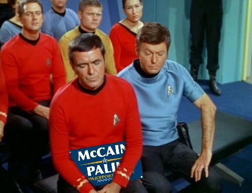 mccain08.jpg